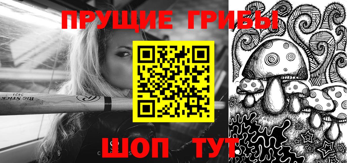Подольск  купить  цена  Вход с VPN  Псилоцибиновые грибы Cubensis  Галлюциногенные грибы Psilocybe 