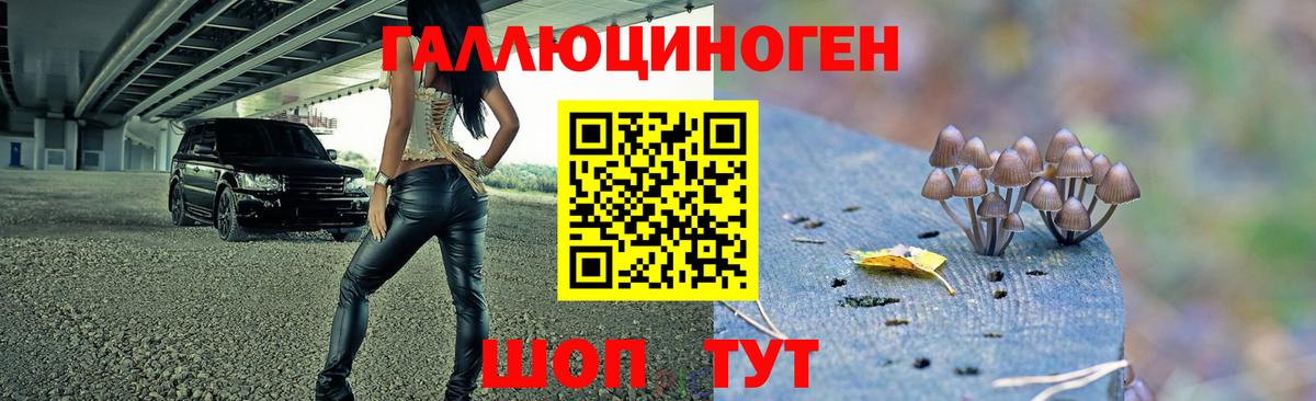 Псилоцибиновые грибы мицелий Подольск
